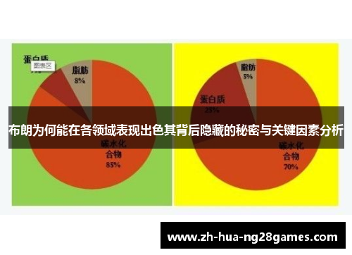 布朗为何能在各领域表现出色其背后隐藏的秘密与关键因素分析