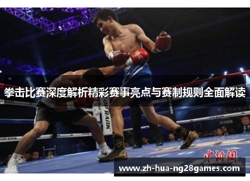 拳击比赛深度解析精彩赛事亮点与赛制规则全面解读