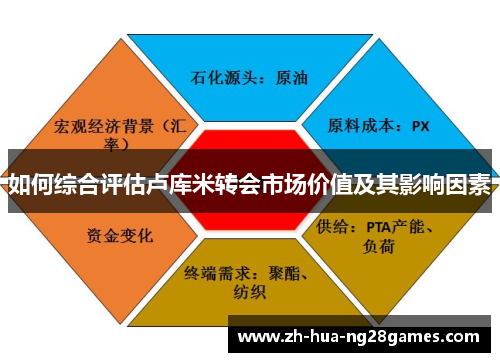 如何综合评估卢库米转会市场价值及其影响因素