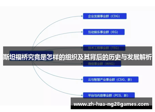 斯坦福桥究竟是怎样的组织及其背后的历史与发展解析