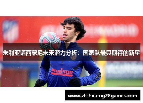朱利亚诺西蒙尼未来潜力分析：国家队最具期待的新星
