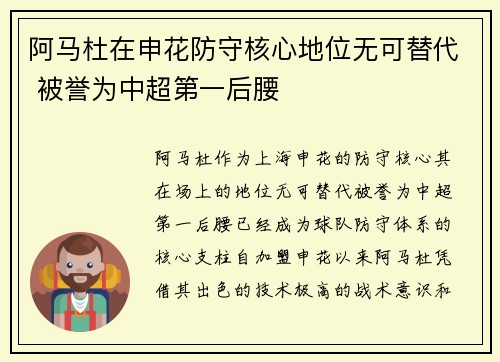 阿马杜在申花防守核心地位无可替代 被誉为中超第一后腰
