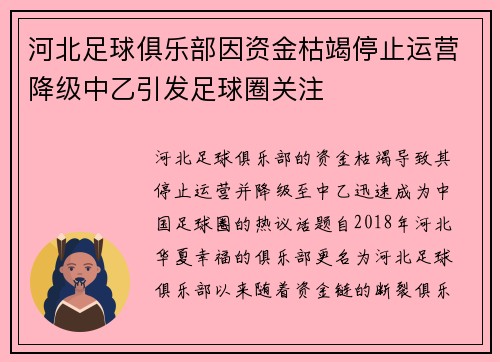 河北足球俱乐部因资金枯竭停止运营降级中乙引发足球圈关注